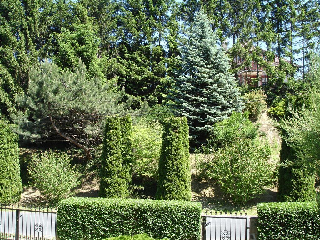 Biro Apartman Zalakaros Exterior photo